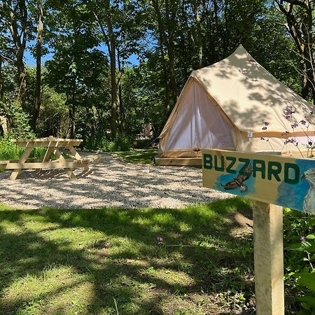 Glamping At Camp Corve Otel Chale Dış mekan fotoğraf